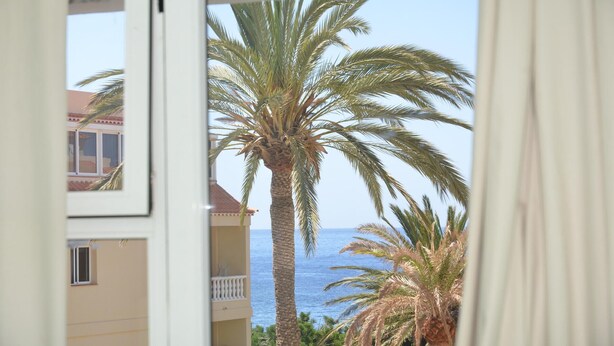A balcony with a view of the sea and palm trees.