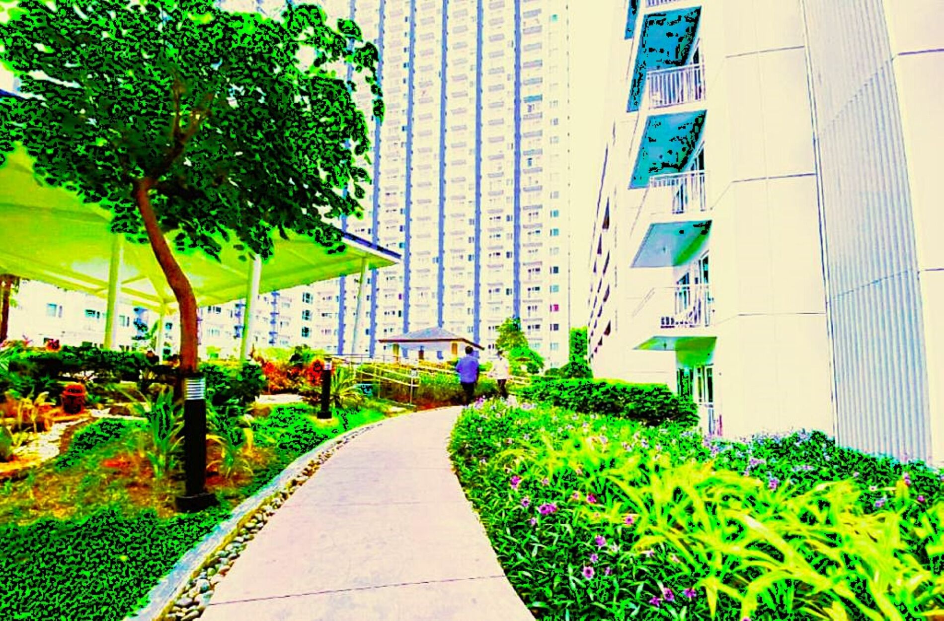 施設の敷地