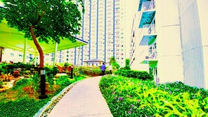 Un sendero bordeado por follaje y un edificio con múltiples ventanales.