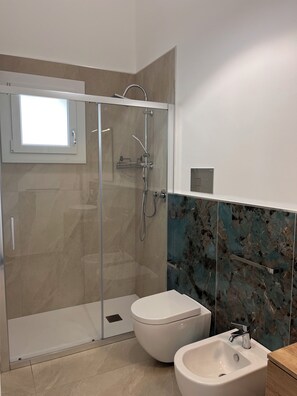 Shower, hair dryer, bidet, towels