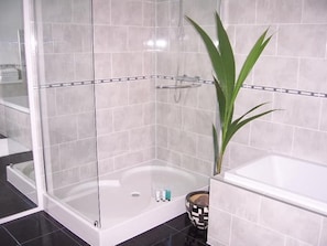 Shower, hair dryer, towels, soap