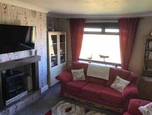 Smart TV, fireplace, DVD player, books