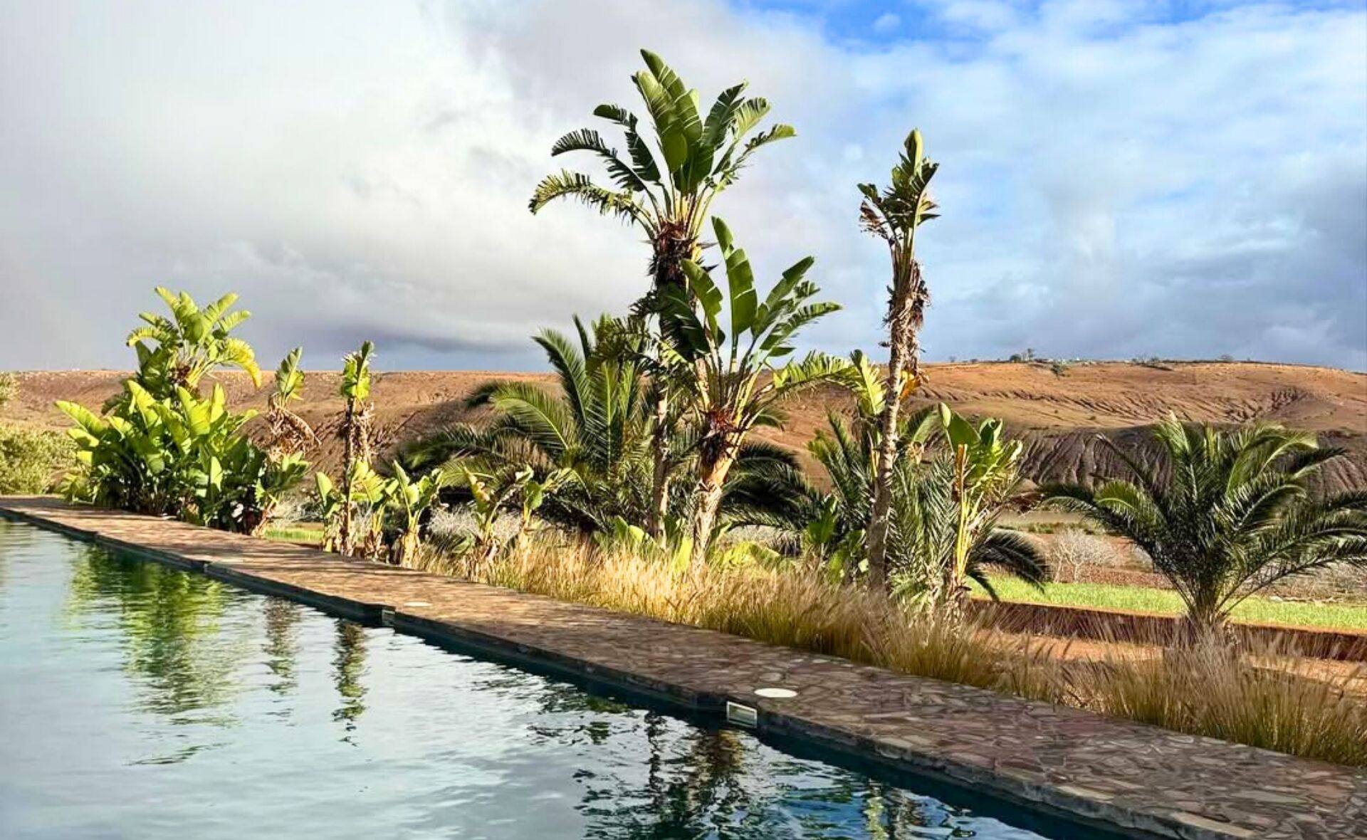 Zona de piscina con una vista despejada del paisaje circundante, incluyendo palmeras y una colina distante.