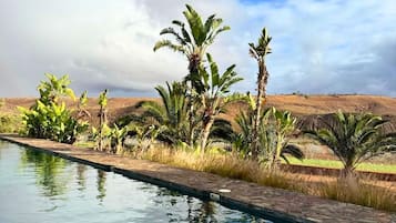 Zona de piscina con una vista despejada del paisaje circundante, incluyendo palmeras y una colina distante.