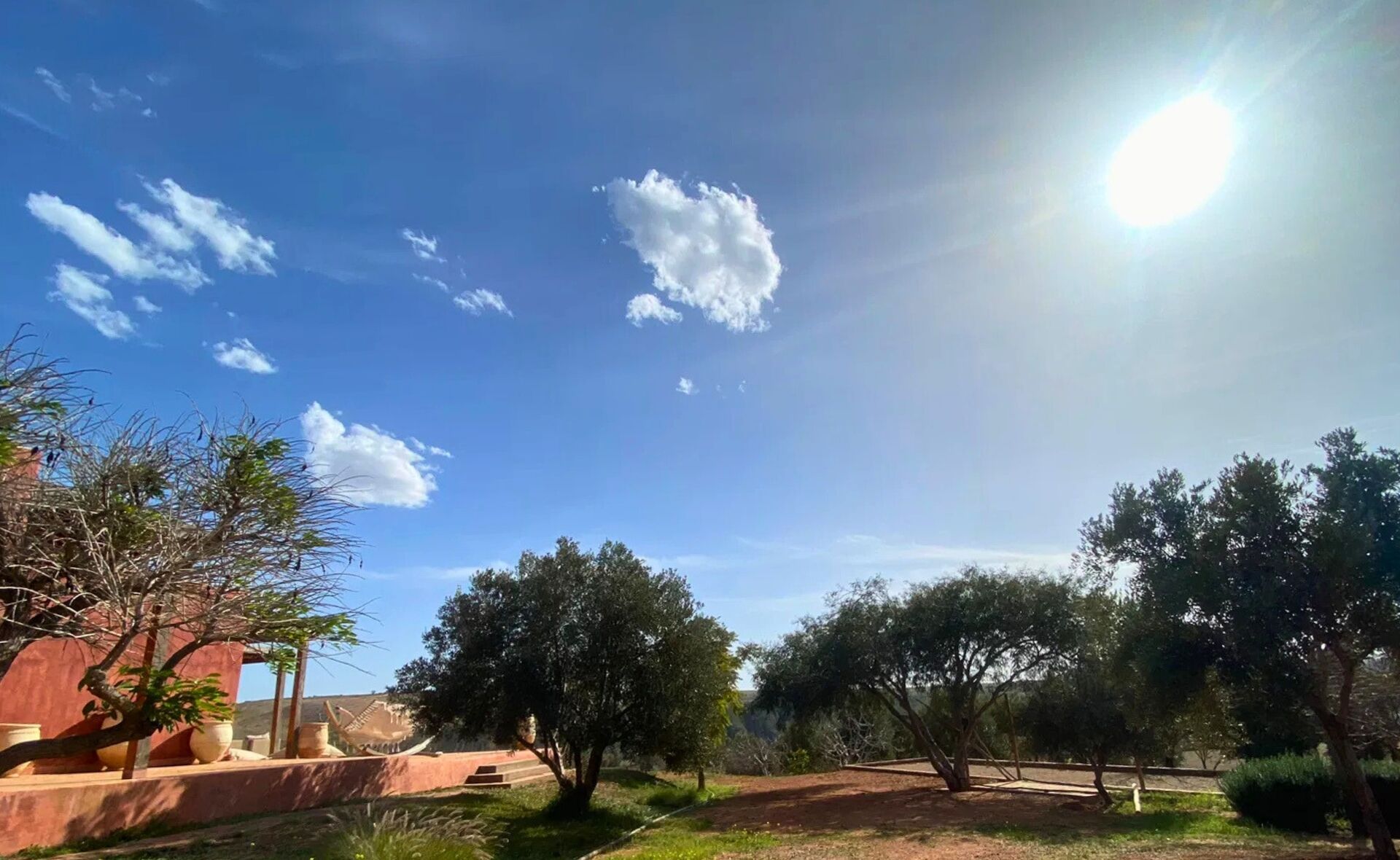 Un espacio al aire libre soleado con árboles y un edificio.