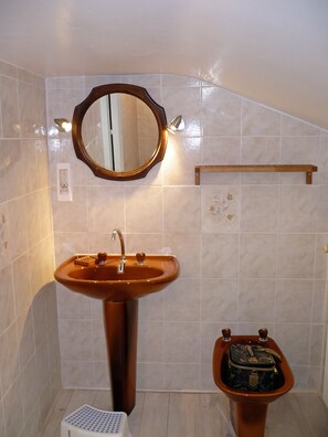 Shower, bidet, soap, toilet paper