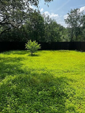 Surrounded by lush greenery, this tranquil outdoor space features a young tree and a variety of shrubs and grasses.