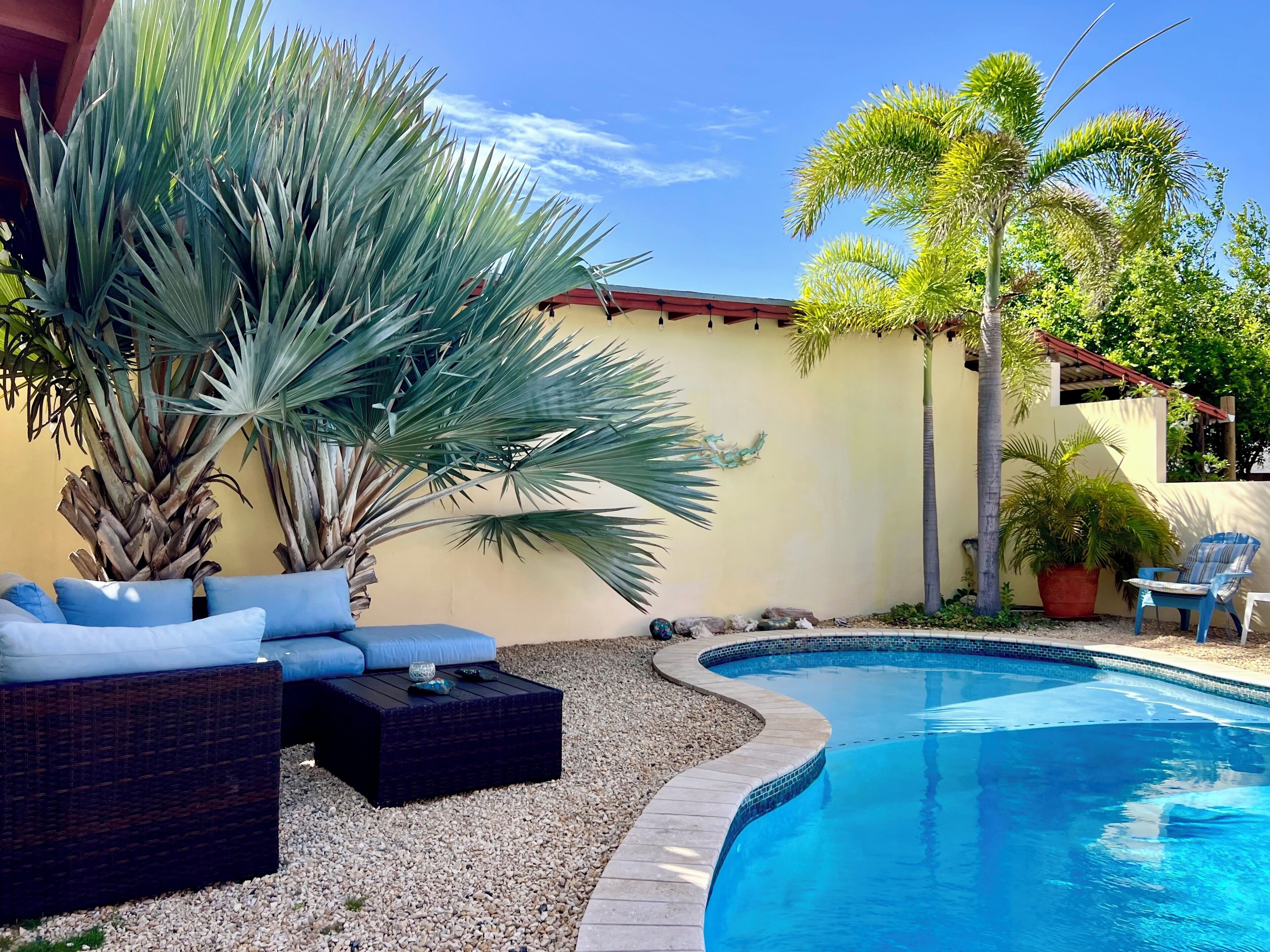 Outdoor pool, pool loungers