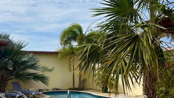 Alberca al aire libre y camastros