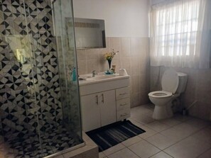 Secador de pelo, toallas, jabón y papel higiénico