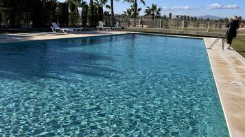 Piscina cristalina con borde de azulejos, rodeada de palmeras y sillas de descanso.