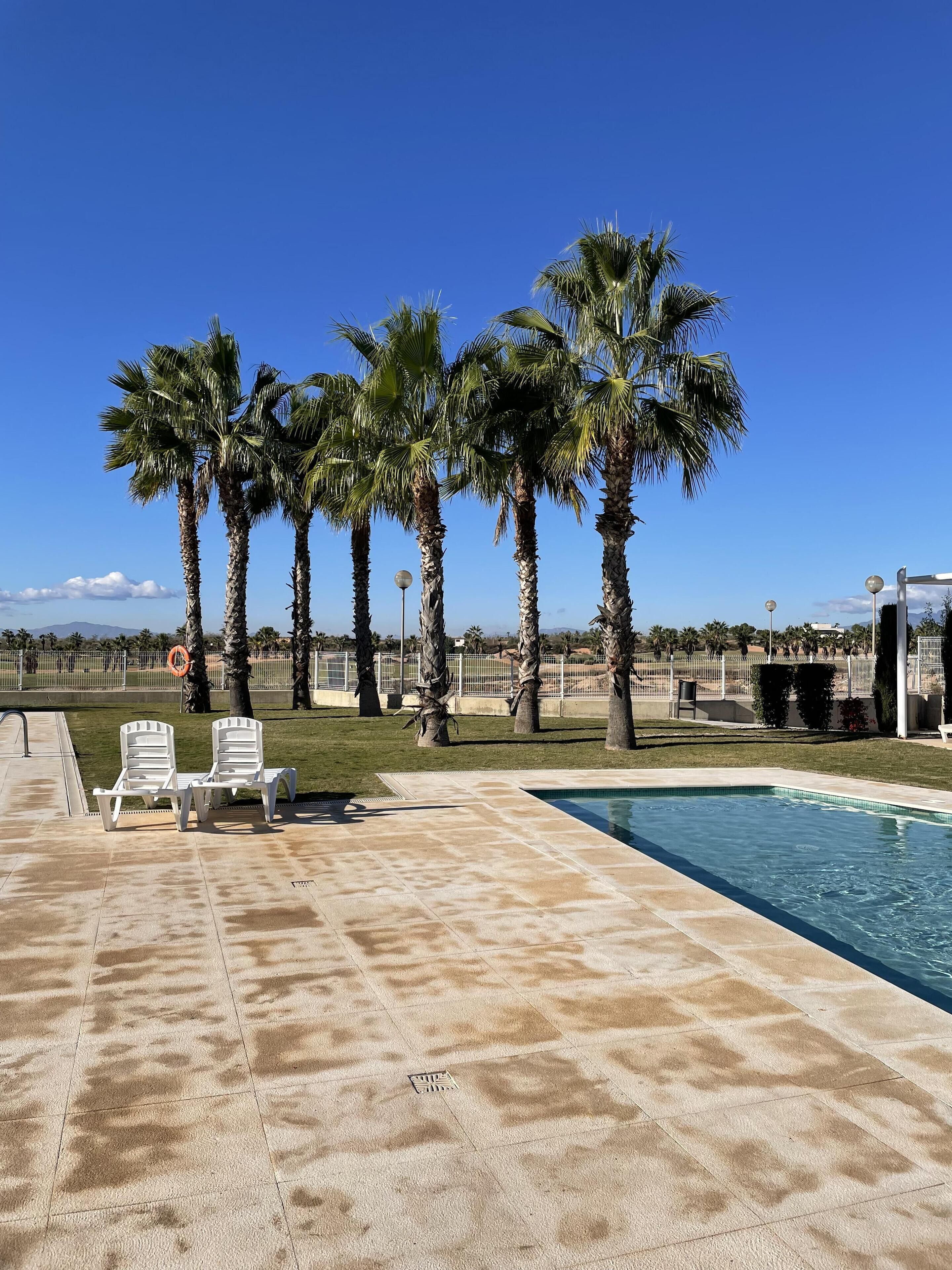 A swimming pool area with lounge chairs and palm trees.