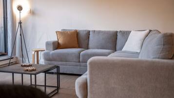 Télévision, cheminée, chaßne hi-fi