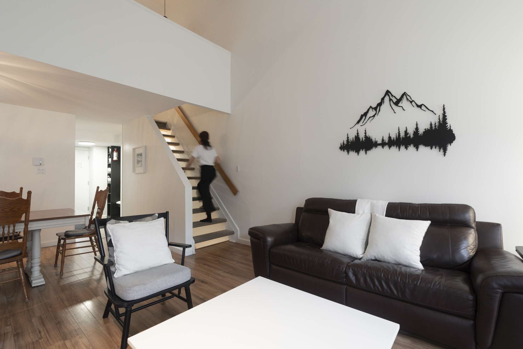 Télévision, cheminée, chaîne hi-fi