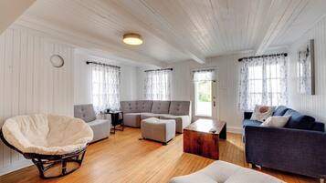 Télévision, cheminée, chaßne hi-fi