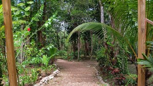 A gravel path surrounded by dense tropical foliage and wooden structures. - Private forest view cabin w/AC, 2 beds-restaurant and car rental on site. (Belize)