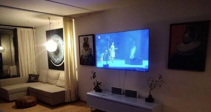 Spacious apartment near parks and historic center