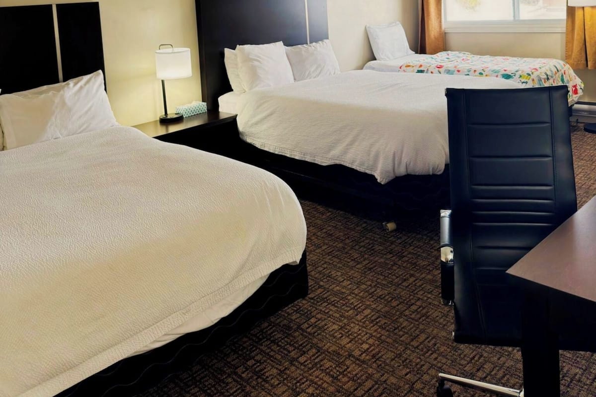 مكتب وواي فاي مجانًا وملاءات أسرّة