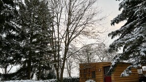 Una pequeña cabaña de madera rodeada de árboles cubiertos de nieve.