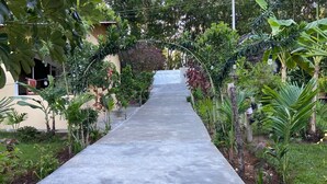 A concrete pathway flanked by lush greenery and a building with a visible entrance.