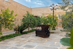 Property grounds - Farmhouse Masseria Delprete - 6 (Puglia)