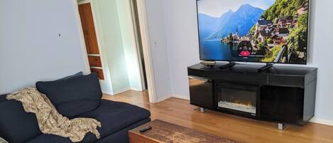 Smart TV, books, computer monitors, printers