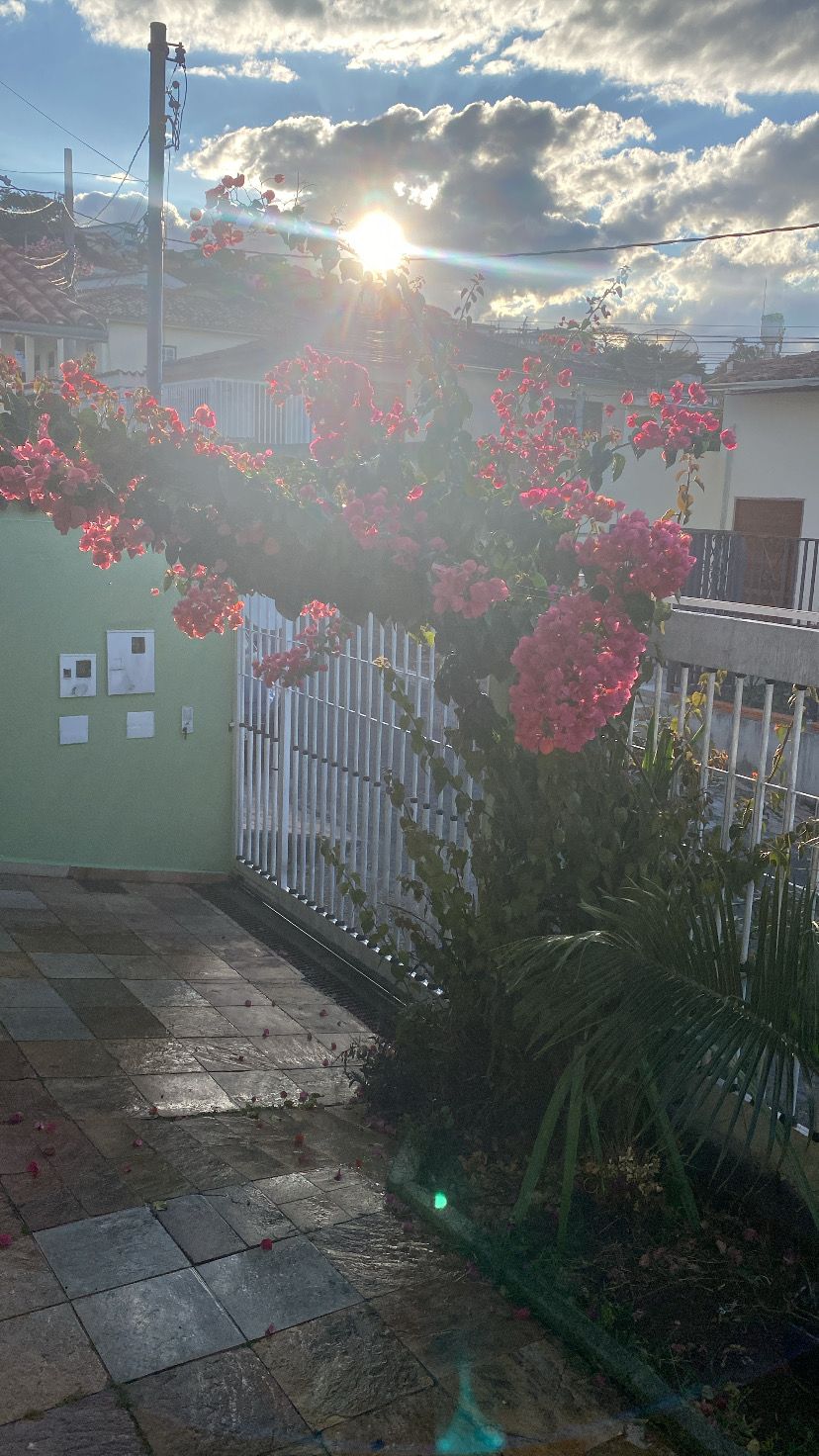 En innergård med ett klinkergolv, ett vitt staket och rosa blommande växter.