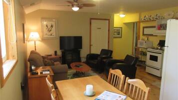 TV, fireplace, DVD player, books