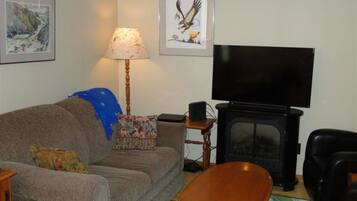 TV, fireplace, DVD player, books