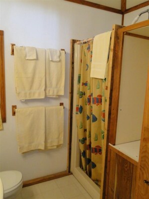 Dusche, Haartrockner, Handtücher