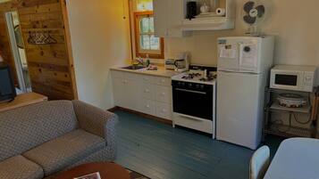 TV, fireplace, DVD player, books