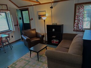 TV, fireplace, DVD player, books