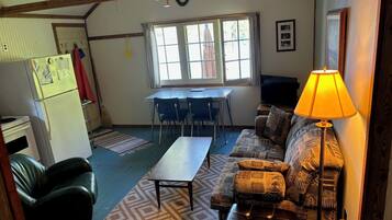 TV, fireplace, DVD player, books