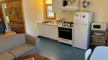 TV, fireplace, DVD player, books