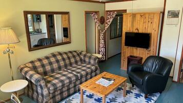 TV, fireplace, DVD player, books