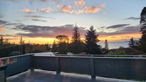 Une terrasse sur le toit offrant une vue sur le coucher de soleil sur l’océan, entourée d’arbres et dotée d’une balustrade.