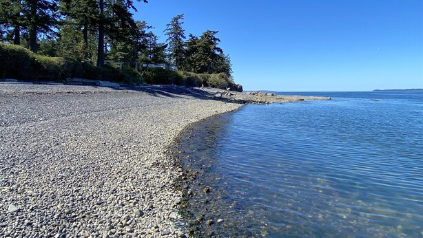 A pebbled beach with clear water, trees, and a distant shoreline. - North Shore Retreat: Private Beach Access, Tennis/Pickleball Court, Pets Welcome (Eastsound)