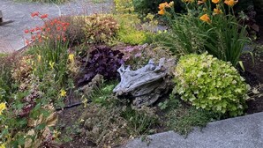A garden with various plants and flowers, a wooden fence, and tall trees in the background. - North Shore Retreat: Private Beach Access, Tennis/Pickleball Court, Pets Welcome (Eastsound)