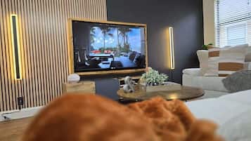 Televisión