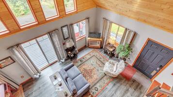 Televisión, chimenea y libros