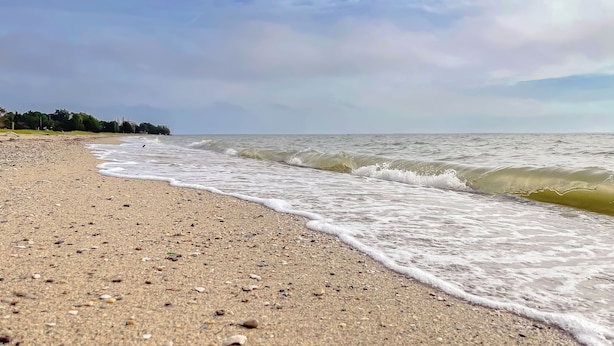 A beach with a sandy shore and gentle waves. - Cove Point Beach Cottage with Chesapeake Bay Views (Lusby)