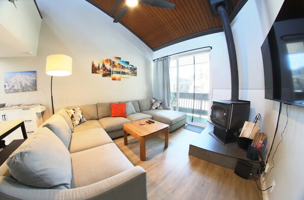 TV, fireplace, computer monitors