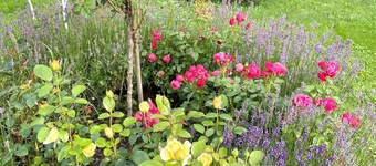 Experience pure nature in our idyllic vacation apartment right on the edge of the forest!