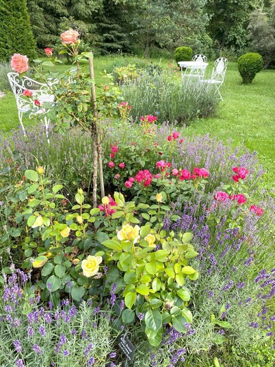 Experience pure nature in our idyllic vacation apartment right on the edge of the forest!