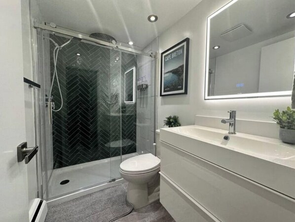 Hair dryer, towels, soap, toilet paper