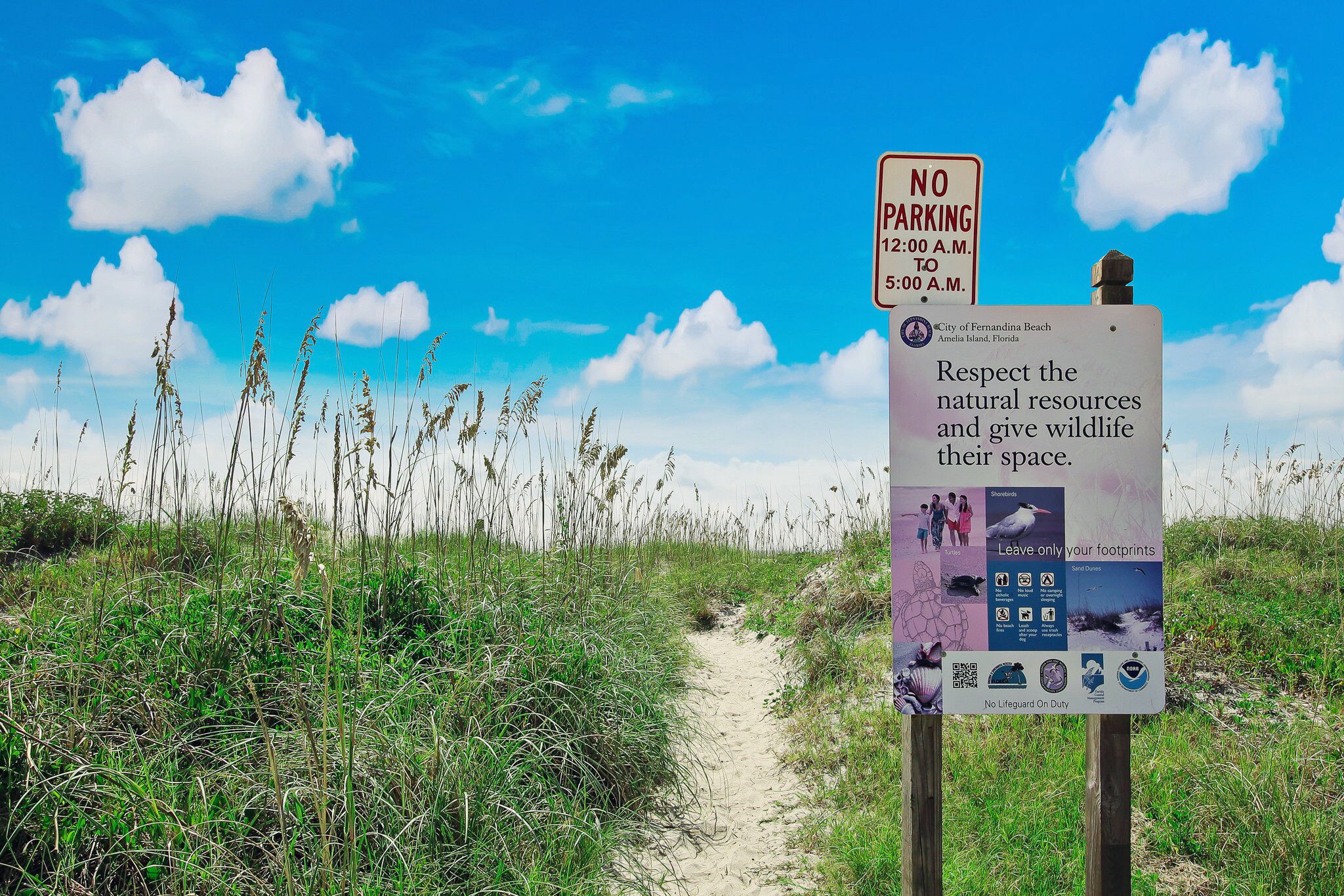 Un sentier menant à la plage, agrémenté d’un panneau indiquant « Stationnement interdit » et d’un autre rappelant l’importance de respecter les ressources naturelles.