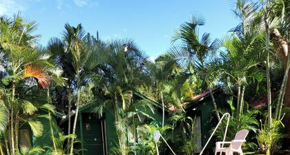 Samuva Campestre