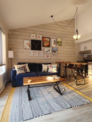Smart TV, fireplace, books