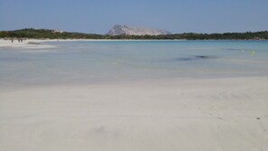 Perto da praia 