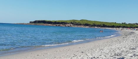 Nära stranden